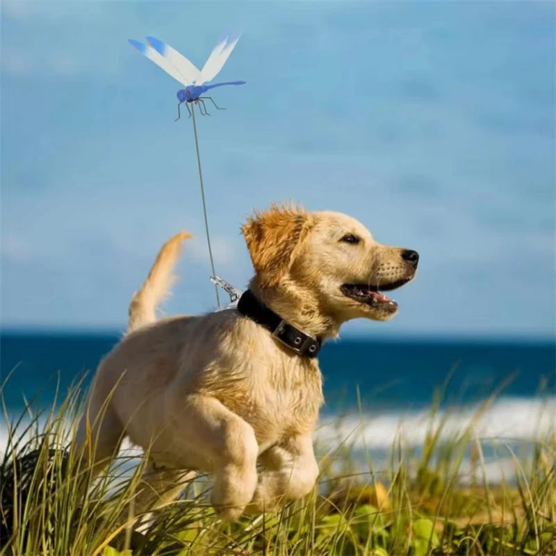 Dekorativa trollsländor som håller insekterna borta