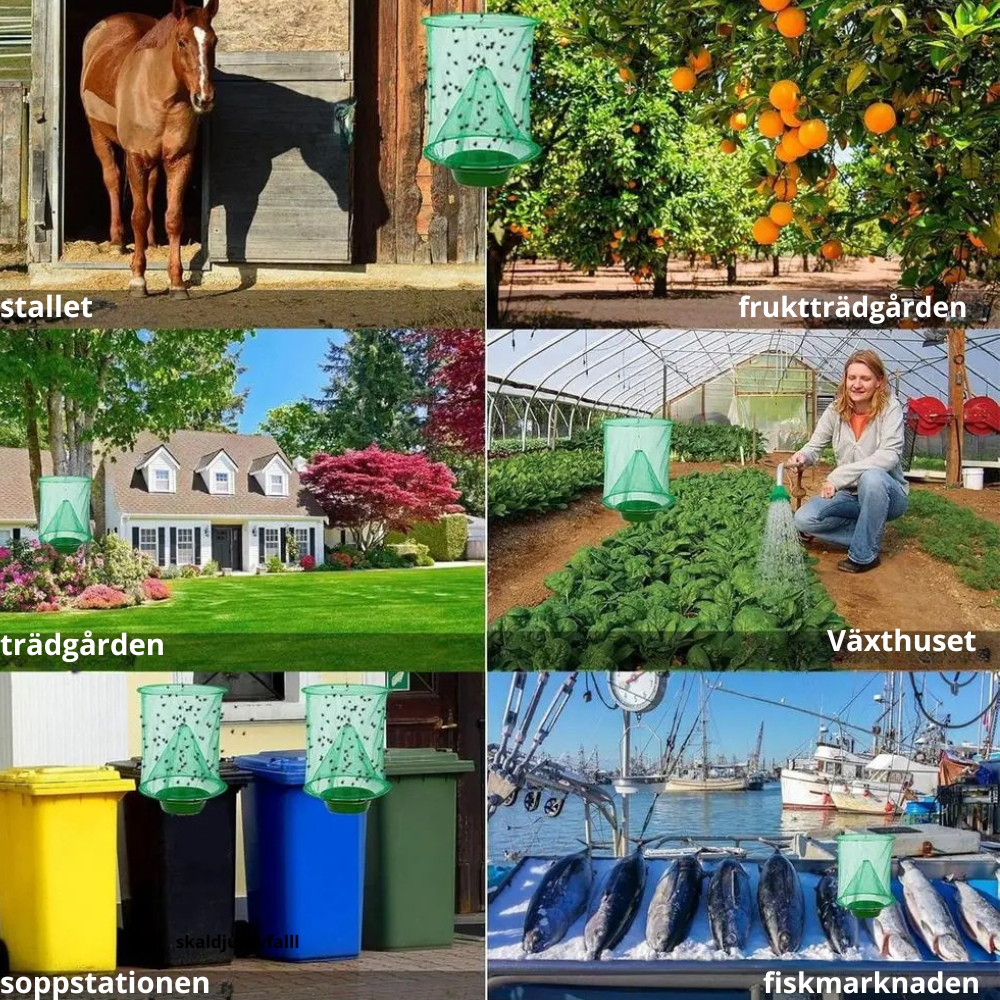 flugfällor – fångar flygande insekter