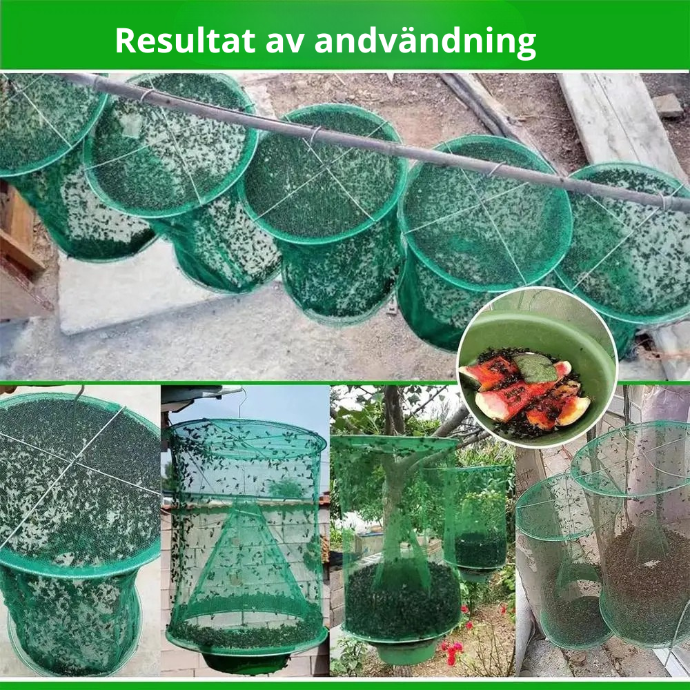 flugfällor – fångar flygande insekter